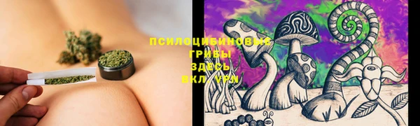индика Алексеевка