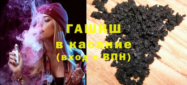 гашик Алексин