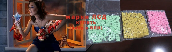 гашик Алексин