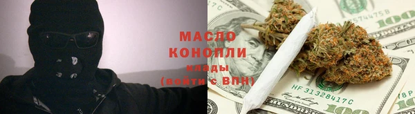 гашик Алексин