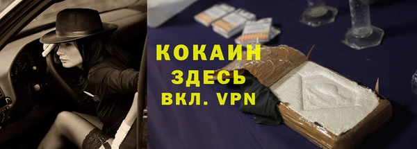 индика Алексеевка
