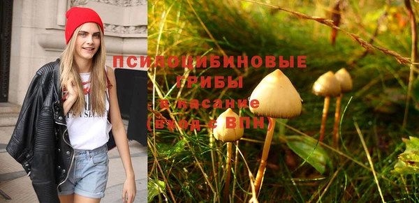 индика Алексеевка