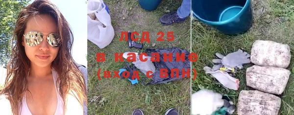 гашик Алексин