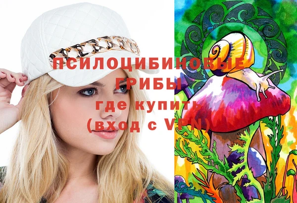 индика Алексеевка
