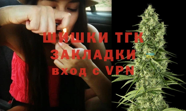 гашик Алексин