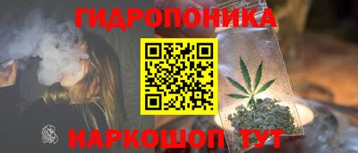 шишки Балаково