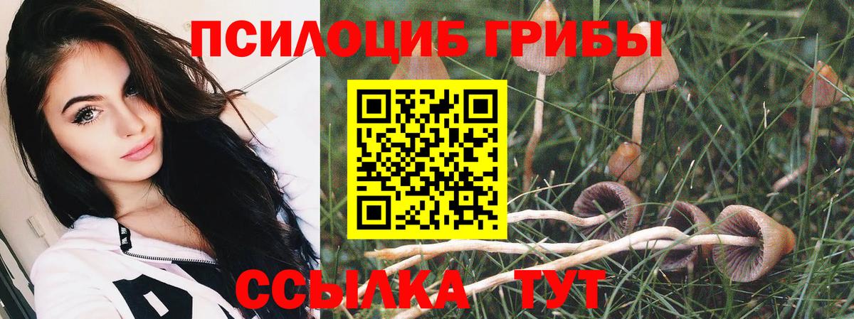 Псилоцибиновые грибы MAGIC MUSHROOMS  Галлюциногенные грибы Psilocybe  Балашиха  Вход с VPN 