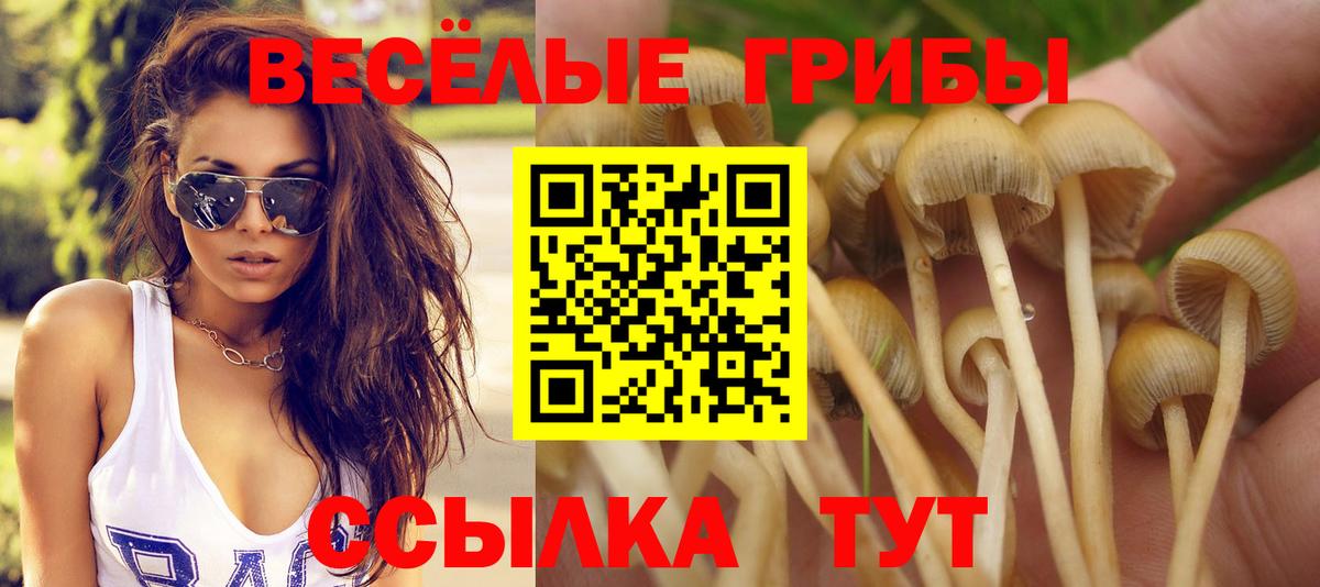 Псилоцибиновые грибы MAGIC MUSHROOMS Балашиха