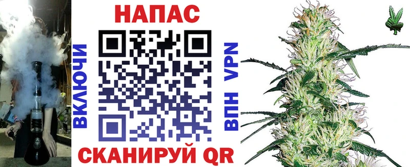 где найти наркотики  Балашиха  Шишки марихуана конопля 