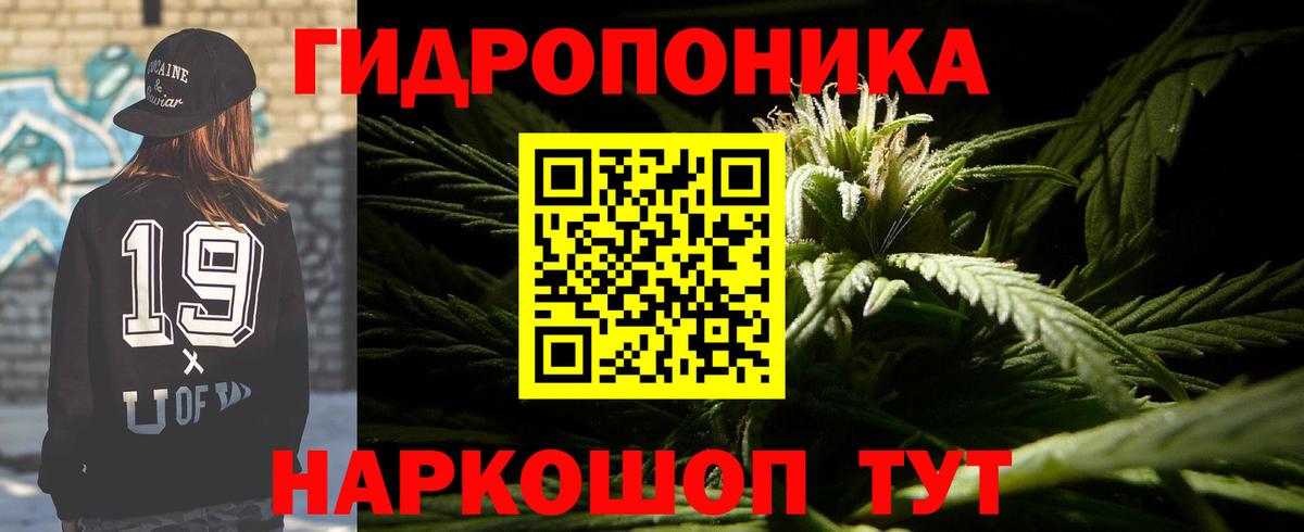Шишки марихуана Amnesia Балашиха
